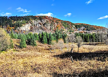 Saint Jerome Sentiers De Randonnée Alfred Kelly Nature Reserve