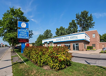 Algonquin Animal Hospital - Ottawa, ON Cliniques Vétérinaires - Clinic Exterior Image