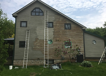 Halton Hills painter Alicka Paint