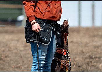 Saskatoon Dresseurs De Chiens Align Canine Training Inc