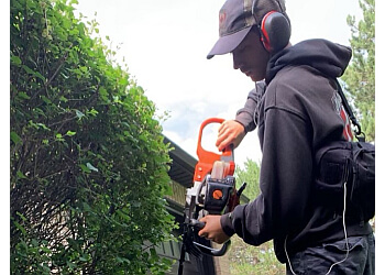 Orangeville lawn care service All Canadian Lawn Care Orangeville