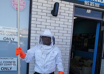 Hamilton pest control All Corners Pest Control