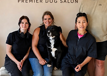 All In One Premier Dog Salon - Red Deer, AB Pet Grooming - Service Image