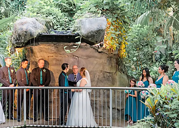 Guelph Célébrants De Mariage All Seasons Weddings Guelph