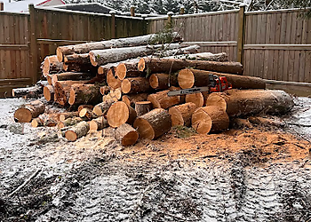 All The Above Tree Service - Nanaimo, BC Tree Services - Project Image