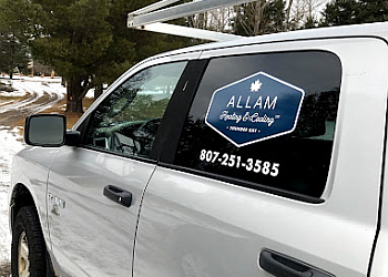 Thunder Bay hvac service Allam Heating & Cooling ltd image 1