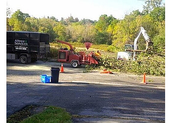 Orangeville Services d'arboriculteur Alltree Services