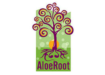 North Bay web designer AloeRoot Web Services