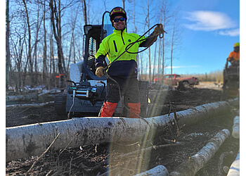 Grande Prairie tree service Alpha & Omega Tree Services