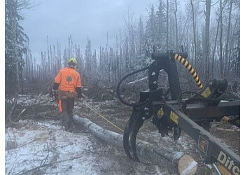 Grande Prairie tree service Alpha & Omega Tree Services