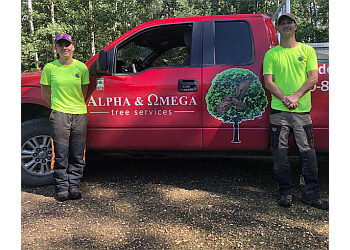 Alpha & Omega Tree Services