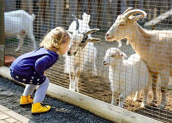 Oakville preschool Alpha's Discovery Club Inc.