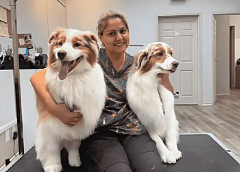 Cambridge pet grooming Amazing Pet Grooming
