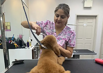 Cambridge
Salons de Toilettage Pour Animaux De Compagnie
Amazing Pet Grooming image 1