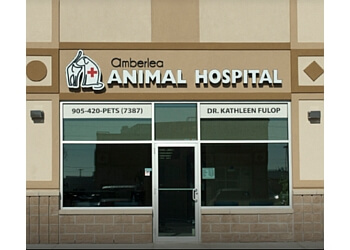 Pickering veterinary clinic Amberlea Animal Hospital