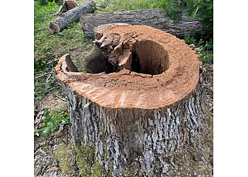 Orillia tree service Anderson Tree Service