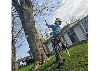 Orillia tree service Anderson Tree Service