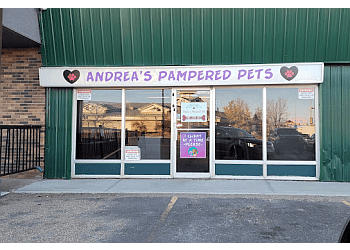 Andrea's Pampered Pets
