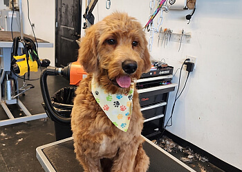 Grande Prairie Salons de Toilettage Pour Animaux De Compagnie Angela's Pet Spa