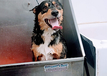 Grande Prairie Salons de Toilettage Pour Animaux De Compagnie Angela's Pet Spa