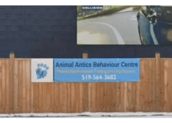 Animal Antics Behaviour Centre