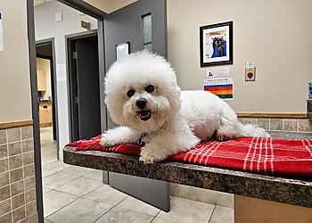 Whitby veterinary clinic Animal Emergency Clinic of Durham Region