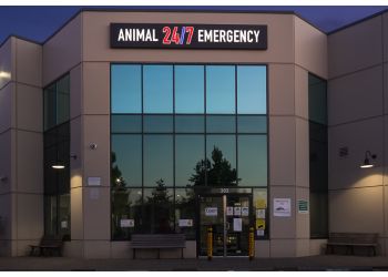 Langley veterinary clinic ANIMAL EMERGENCY CLINIC OF THE FRASER VALLEY image 1