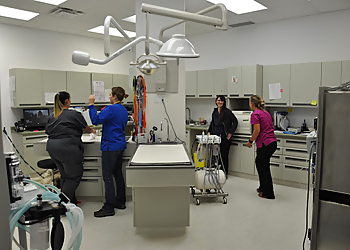 Medicine Hat Cliniques Vétérinaires Animal Medical Centre South