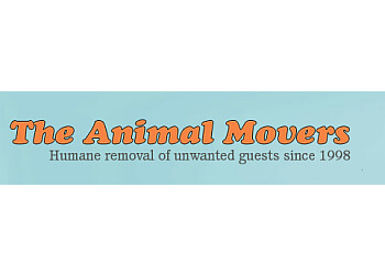 Newmarket animal removal Animal Movers