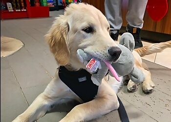 Blainville Salons de Toilettage Pour Animaux De Compagnie Animo Etc Blainville