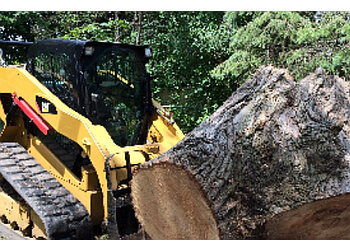 London tree service Ape's Tree Service