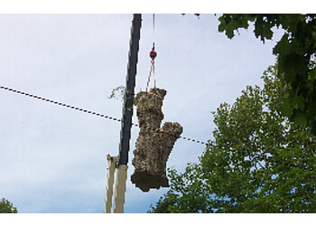 London tree service Ape's Tree Service