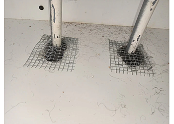 Surrey pest control Apna Pest Control