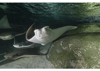 Quebec places to see Aquarium du Québec
