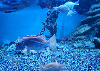 Quebec places to see Aquarium du Québec