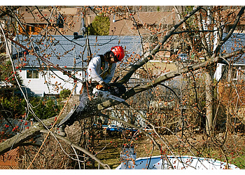 Terrebonne Services d'arboriculteur Arbo Design Inc.