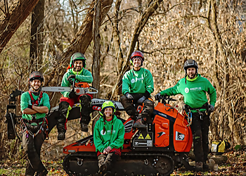 Blainville tree service Arboplus Inc.