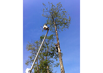 Langley tree service Arbor Barber Tree Service