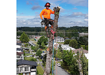 New Westminster tree service Arbor Task Tree Service Ltd.