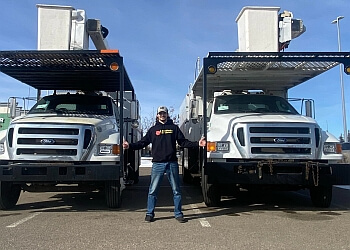 North Bay tree service ArborWorks Tree Service