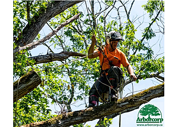 Milton Services d'arboriculteur Arborcorp