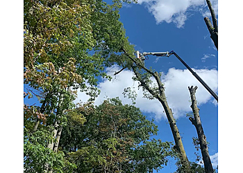 Milton Services d'arboriculteur Arborcorp