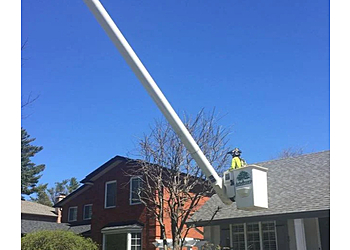 Milton Services d'arboriculteur Arborcorp