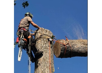 Laval Services d'arboriculteur Arbo-Scape