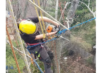 Laval Services d'arboriculteur Arbo-Scape