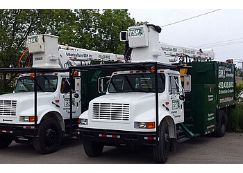 Saint Jerome tree service Arboriculture ESH Inc.