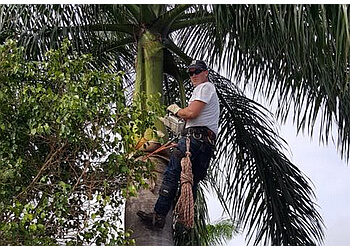 Saint Jerome tree service Arboriculture ESH Inc.