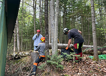 Arboriculture Lavallée Arboriculture Lavallée - Shawinigan, QC Tree Services - On-Site Service Image