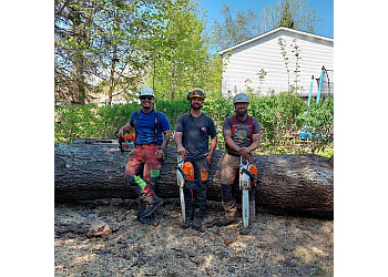 Mirabel tree service Arborix