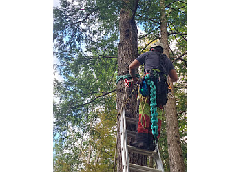 Mirabel tree service Arborix